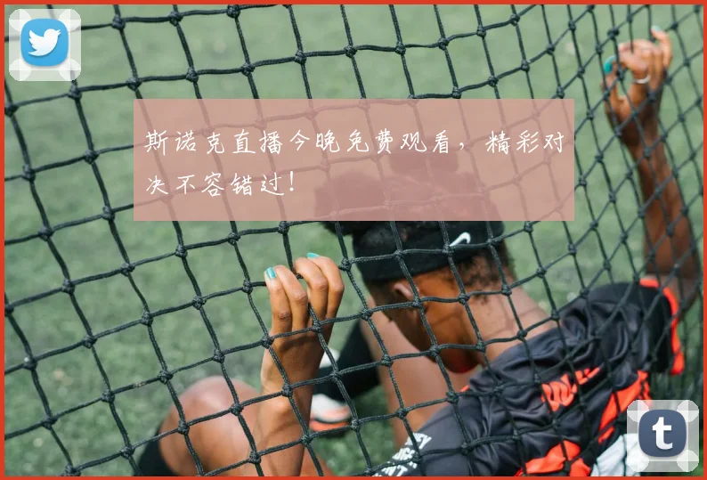 斯诺克直播今晚免费观看，精彩对决不容错过！