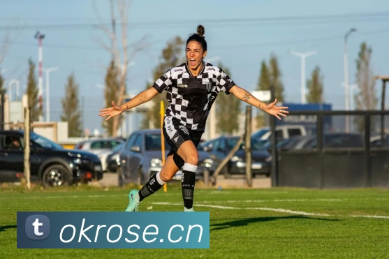 开云官方最新app下载服务体系