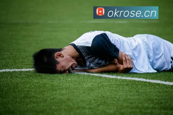 多媒体互动体验